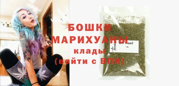 прущие грибы Беломорск