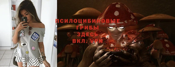 соль ск Белоозёрский