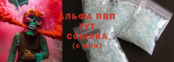 прущие грибы Беломорск