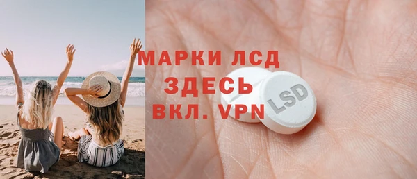 прущие грибы Беломорск