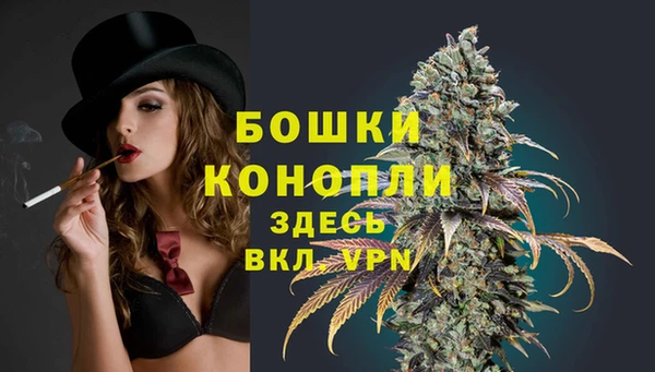 mdpv Белокуриха