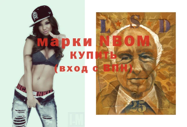 прущие грибы Беломорск