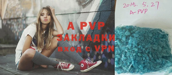 прущие грибы Беломорск