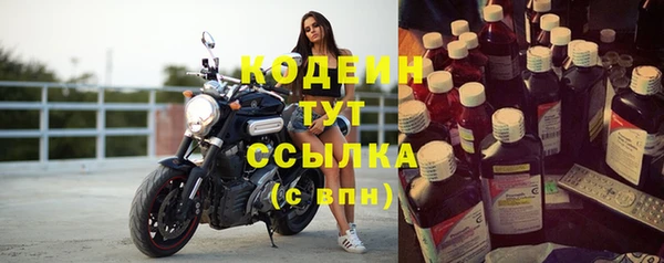 прущие грибы Беломорск