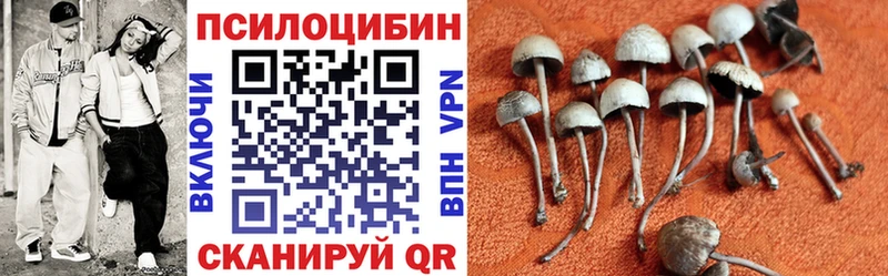 Галлюциногенные грибы Cubensis  Котлас 