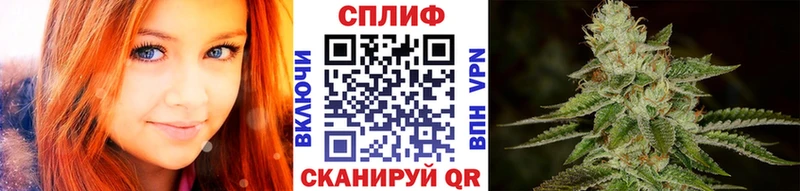 Каннабис семена  Котлас 